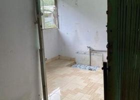 Cần bán nhà cấp 4 tại Huyện Bình Chánh, TP HCM 8322942