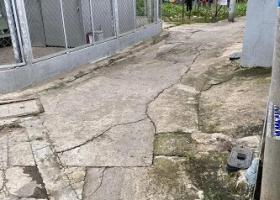 Cần bán nhà cấp 4 tại Huyện Bình Chánh, TP HCM 8322942