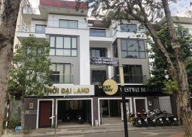 Bán Nhà Biệt Thự Khu HaDo Centrosa, Phường 12, Quận 10 8330631