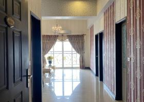 Chính chủ cần bán căn hộ chung cư Penhouse New SaiGon  8336501