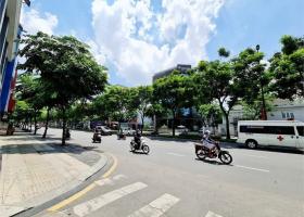 Bán nhà Trường Sơn, Phường 4, Tân Bình – 105m2, 5 tầng – 23.2 tỷ. 8347609
