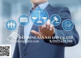 Nhà 5 Lầu Nguyễn Thị Minh Khai, Phường Dakao. Quận 1. Giá 25 Tỷ 8385529