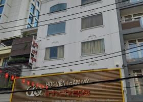 mặt tiền đường Trần Khắc Chân, DT 8x17, 6 tầng, thang máy, giá 33,5 tỷ 8496143