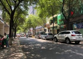 MT Đường Thi Sách Quận 1 diện tích gần 2.000m2, TP.HCM 8507342