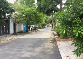 Bán nhà mặt phố tại Phố Phan Văn Trị, Phường 10, Gò Vấp, Tp.HCM 8534891