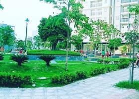 Bán Nhà Quận 12 Đường Nhựa 9M Hiệp Thành City, 85M2, 4 Tầng BTCT, Thang Máy, Chỉ 8 Tỷ 7. 8574321