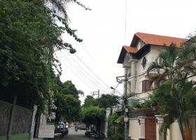 Bán nhà biệt thự, Hoàng Văn Thụ, Tân Bình, ngang 8 x 22m, giá 33 tỷ 8579441