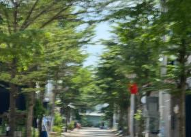Bán đất khu dân cư vạn xuân. Tăng long  . Trường thạnh Quận 9 8590998