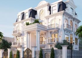  Bán nhà mặt tiền Phạm Cự Lượng P2 Tân Bình_16x17m_cấp 4_giá 55 tỷ 8646133