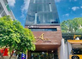 Tòa nhà 10 tầng - MT Hai Bà Trưng -P Tân Đinh Q1- HĐ thuê 500 triệu - giá 170 tỷ 8671072