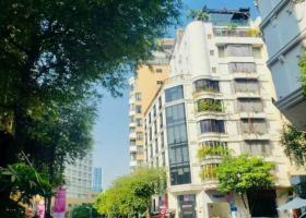 ❤️BÁN NHANH TRONG TUẦN -78 tỷ hạ về 65 tỷ Siêu Vị Trí MT LÊ THÁNH TÔN P Bến Thành Q1 NGAY CHỢ BẾN THÀNH 8688359