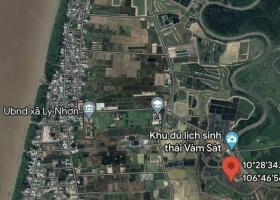 Bán đất Lý Nhơn, Lý Nhơn, Cần Giờ: 22.797m2, giá 11,8 tỷ 8703753