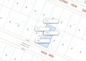Bán biệt thự mặt tiền đường Hoa Mai, DT 8x18, 3 tầng, 46 tỷ 8706123
