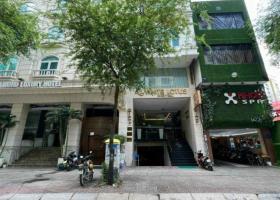 Siêu phẩm của thiên nhiên bán nhà MT Thi Sách P Bến Nghé Q1, DT 4,85x24m 8724707
