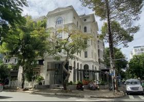 Bán căn nhà phố Nam Quang góc 2 mặt tiền đường 10 tây vị trí đẹp xuất sắc tại khu Cảnh Đồi Phú Mỹ Hưng 8733523