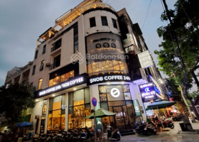 Bán góc 2MT Hai Bà Trưng, Q1. Dt: 5x20m, Kc: Trệt 4 lầu. HĐT 150tr/th 8757465