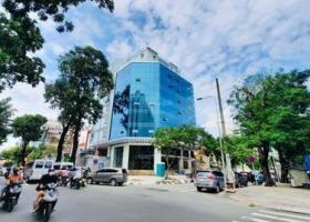 Bán tòa nhà góc 2 mặt tiền số Nguyễn Trãi với Nguyễn Cảnh Chân Quận 1. 8762260
