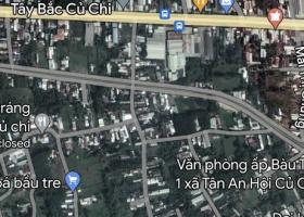  Bán đất xã Tân An Hội, Củ Chi: 6 x 58= 348m2, giá 2 tỷ. 8766431