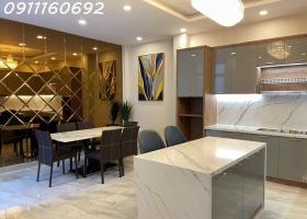 Bán Villa đường Lê thị Riêng, Phường Bến Thành, Quận 1. 8772889