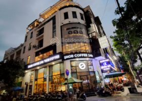 Chính chủ bán góc 2 MT Lý Chính Thắng, Q1. DT: 5x20m, KC: Trệt 4 lầu. HĐT 150tr/th 8774269
