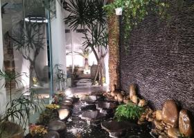 Bán biệt thự sân vườn đường Lê Văn Sỹ gồm nhà đẹp 3 lầu và vườn cây ao cá, 7mx20m, giá 17 tỷ 8777010