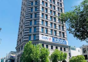 Cần bán tòa building CHDV cao cấp mặt tiền đường Trần Quang Diệu 10.5 x 32 1580 m2 sàn 8785154
