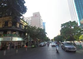 Bán nhà 2 MT ngay phố đi bộ Nguyễn Huệ, 4x18m, khu được xây 7 tầng, 49 tỷ TL 8791241