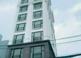 Bán Building 19 Hậu Giang, Phường 4, Quận Tân Bình 8795809