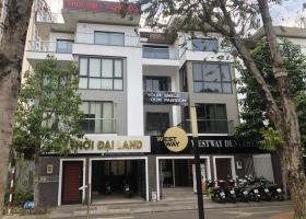 Cần bán Gấp nhà Mặt tiền Nguyễn Tri Phương P.5 Q.10 (7x10m) 5 tầng lầu. 8804230