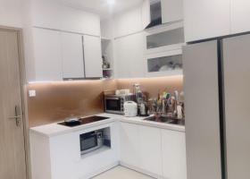 Chính chủ bán căn hộ 2 phòng ngủ Vinhomes grand Park quận 9 8828023
