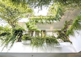 Bán nhà 38 Ngô Thị Thu Minh, P2, Tân Bình, 8.5x18m 3 tầng, hđt : 70tr/tháng, Giá 37.5 tỷ 8864663
