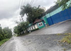 Chậm là không còn, chỉ 11tr.m có ngay nhà xưởng 1500m Hocmon, full thổ, xem liền tay 8867374