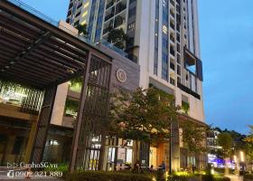 Căn hộ HaDo Centrosa Garden  200, Đường 3/2, Phường 12, Quận 10 8880147