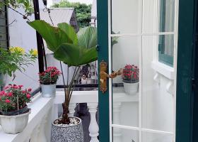 3.3 TỶ CÓ NGAY NHÀ MỚI 1/ NGUYỄN VĂN ĐẬUPHONG CÁCH CHÂU ÂU - TẶNG FULL NỘI THẤT SANG XỊN 8911011