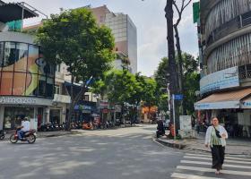 Bán khách sạn Phạm Ngũ Lão dòng tiền 5%/tháng,rẻ hơn thị trường 30 tỉ 8957964