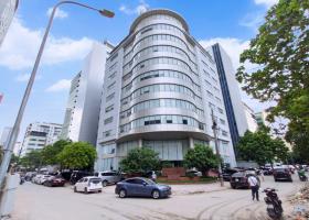 Tòa nhà thương hiệu Sương Nguyệt Ánh - Tôn Thất Tùng - 11x40m - GP: Hầm 8 tầng - Giá bán 220 tỷ 8969993