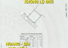 Bán đất tặng Xưởng 12,02 x 12,8 = 4 tỷ 3 QL22 Song Hành Hóc Môn TPHCM 8986141