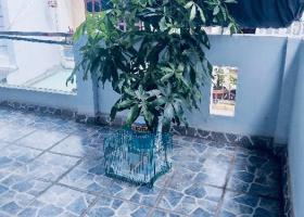  NHÀ HIẾM TRONG TẦM GIÁ, BÔNG SAO Q8, 92M2, GIÁ SỐC 6.7 TỶ ( TL ) 8990100