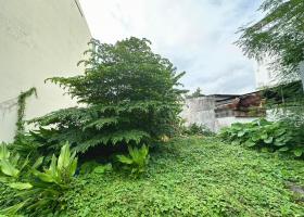 ANH CÔNG CHÍNH CHỦI ĐẤT TRUNG TÂM THÀNH PHỐ THỦ ĐỨC, MẠT TIỀN ĐƯỜNG SỐ 12 PHƯỜNG TRƯỜNG THỌ . 9007532