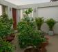 Bán nhà Hẻm 5m Nguyễn Văn Cừ P.2 Q.5,DT: 4 x 16m , 3 lầu ST Giá cực tốt Bán nhà Hẻm 5m Nguyễn Văn Cừ P.2 Q.5,DT: 4 x 16m , 3 lầu ST Giá cực tốt