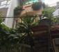 Bán nhà khu chợ thuốc mặt tiền đường Nguyễn Giản Thanh, Q10, DT: 3,5x10m, trệt 2lầuST, giá 11 tỷ TL Bán nhà khu chợ thuốc mặt tiền đường Nguyễn Giản Thanh, Q10, DT: 3,5x10m, trệt 2lầuST, giá 11 tỷ TL