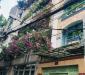 Bán gấp nhà MTH Nguyễn Tri Phương, Q10, DTSD 225m2 ngang 5m Giá 14 tỷ Bán gấp nhà MTH Nguyễn Tri Phương, Q10, DTSD 225m2 ngang 5m Giá 14 tỷ