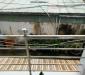 Bán nhà hẻm 104 đường Thành Thái, P14, Q10, DT: 4.3x16m, nhà 4 tầng, HĐT 40tr, giá: 14 tỷ Bán nhà hẻm 104 đường Thành Thái, P14, Q10, DT: 4.3x16m, nhà 4 tầng, HĐT 40tr, giá: 14 tỷ