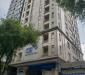 Building VP MT Phạm Ngọc Thạch Hầm 11 tầng sân thượng Q3