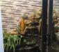 Bán nhà mặt tiền Cư Xá Bình Thới căn duy nhất, 1 trệt 3lầu, đang cho thuê spa 25tr/th, giá 11 tỷ Bán nhà mặt tiền Cư Xá Bình Thới căn duy nhất, 1 trệt 3lầu, đang cho thuê spa 25tr/th, giá 11 tỷ
